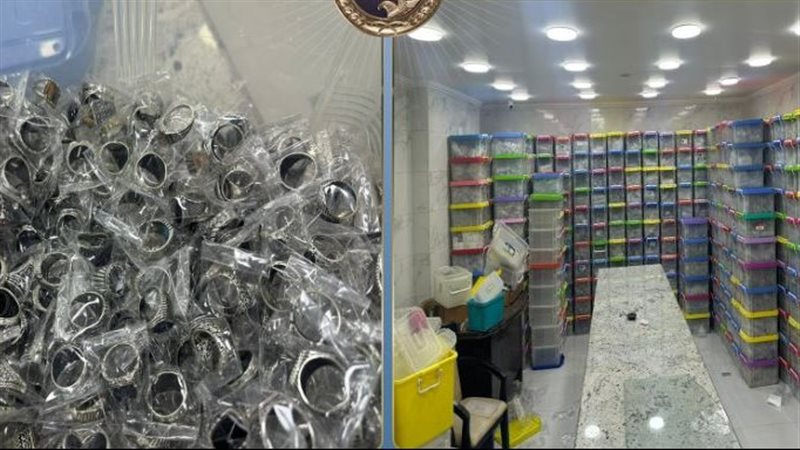 مضبوطات