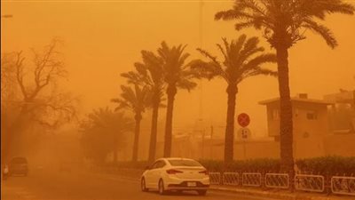 الأرصاد تحذر من منخفض صحراوي وعاصفة ترابية تضرب البلاد في هذا الموعد.. فيديو