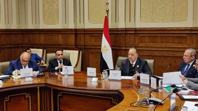 تطوير الخدمة الطبية بالمستشفيات الجامعية على طاولة مجلس الشيوخ