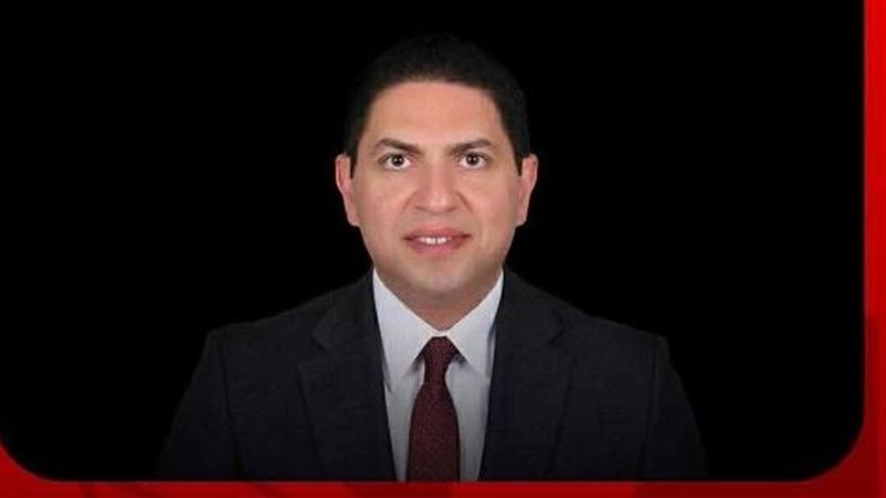 شادي البرقوقي المستشار