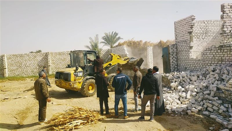 صورة واقعيه
