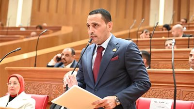 النائب إسلام التلواني: تنظيم سوق الهواتف ومكافحة التهريب هدف وطني مشروع 