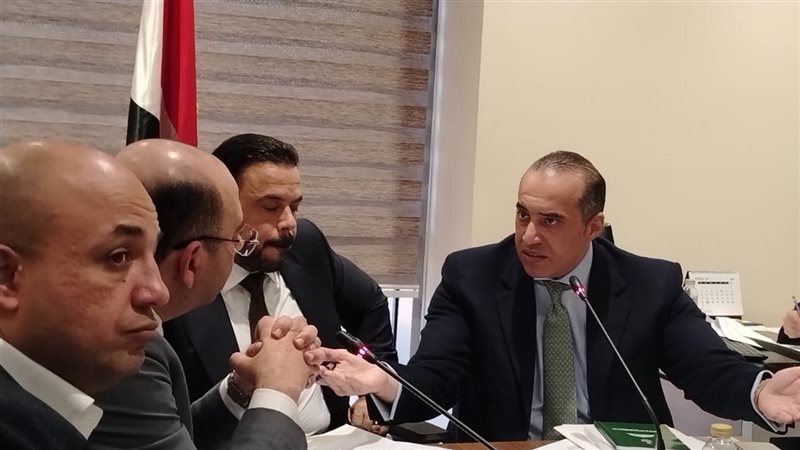 محمود فوزي