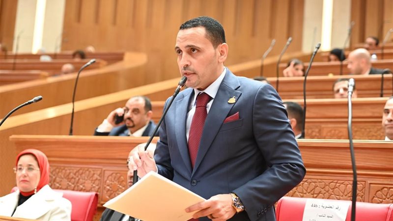 النائب إسلام التلواني