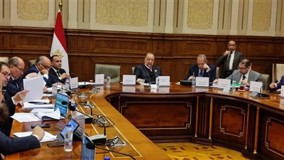 مجلس الشيوخ: تعديل قانون المستشفيات الجامعية يعزز الجودة ويطور التعليم الطبي