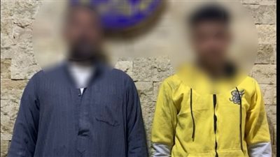 بسبب لهو الأطفال.. يستعين بنجله و يتعديا على شقيقه بالشرقية 