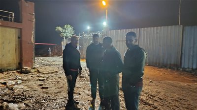 لليوم الثالث.. حملة مكبرة بالزهور لملاحقة الأبقار والعجول الضالة في الشوارع