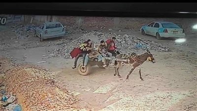  بتهمة سرقة 3 ملايين جنيه ومشغولات ذهبية.. القبض على سيدة ونجلها في مطروح