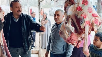تحصين 41 كلب بمدينة بنى سويف وضبط لحوم مذبوحة خارج المجازر باهناسيا
