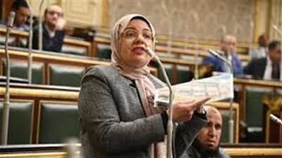 أول تحرك برلماني بعد تصريحات السفير الأمريكي عن حق إسرائيل في أخذ أراضٍ عربية