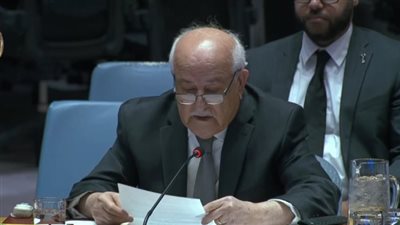 مندوب فلسطين لدى الأمم المتحدة: يجب تخلى إسرائيل عن خطها لتهجير شعب فلسطين