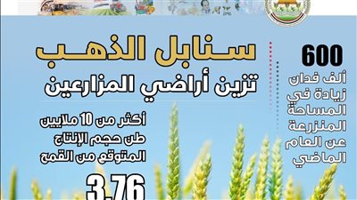  3.76 مليون فدان.. الزراعة تعلن تجاوز المستهدف من المساحات المنزرعة بالقمح 