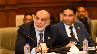 عضو بالشيوخ: إعداد قانون ينظم استخدام الأطفال لمواقع التواصل الإجتماعي 