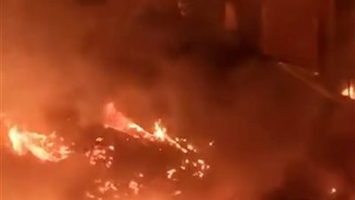 نفوق عدد من رؤوس الماشية في حريق الزرايب بالقاهرة | صور