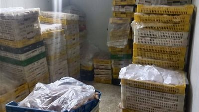 حملات بيطرية تضبط نصف طن لحوم ودواجن ورنجة فاسدة بالغربية