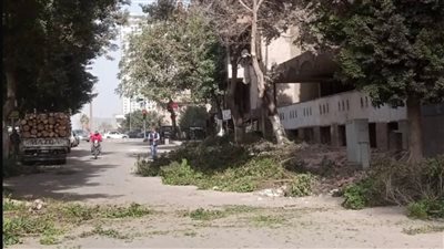رئيس مدينة قنا يتابع استكمال أعمال القسم الزراعي بحديقة أمام بنك الإسكندرية