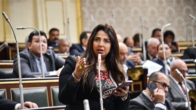 النائبة نشوى الشريف تتقدم بطلب إحاطة بشأن العمالة المؤقتة بمراكز الشباب