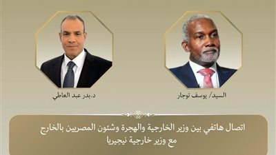 وزير الخارجية يبحث مع نظيره النيجيري تعزيز العلاقات الثنائية 