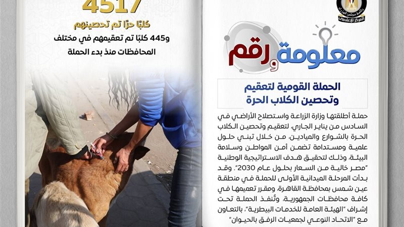 تعبيرية