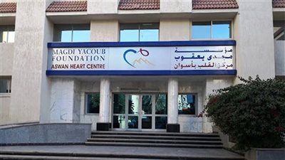 ياسمين عجيب: البحث العلمي ركيزة أساسية في مؤسسة مجدي يعقوب للقلب