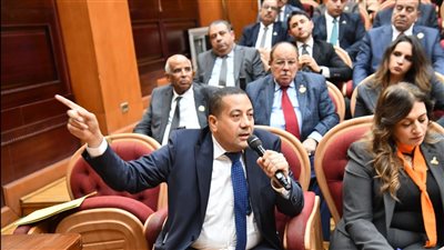 برلماني يطالب بوقف بعض القطارات بمحطة أرمنت لخدمة أهالي الأقصر