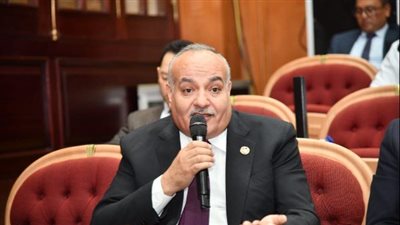 النائب محمد نوح: مشروع الدلتا الجديدة خطوة استراتيجية لتعزيز الأمن الغذائي