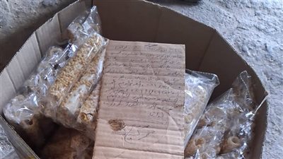 تموين الغربية يضبط 8 آلاف قطعة حلوى مشبوهة داخل منشأة غير مرخصة بطنطا
