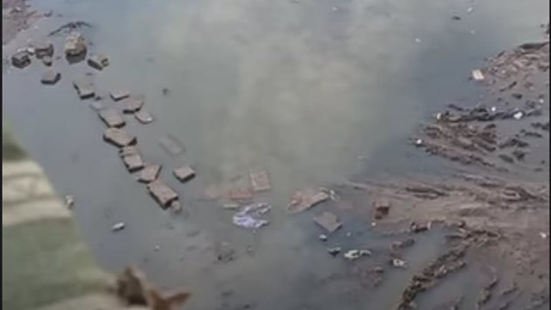 شط جريبه 