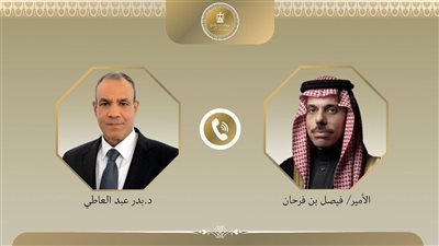 وزير الخارجية ونظيره السعودي يبحثان وقف التصعيد في غزة والضفة الغربية