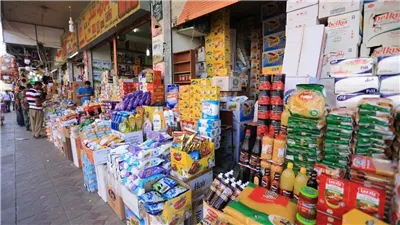 خبير اقتصادي: نموذج هجين يجمع بين النقدي والعيني هو الأقرب للتطبيق|خاص