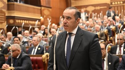محمود فوزي: تعديل قانون المهن الرياضية يحقق التوازن ويحفظ دور النقابة