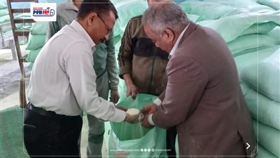 تحرير 371 مخالفة تموينية خلال حملات مكثفة على المخابز والأسواق بالمنيا