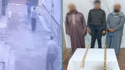 ضبط 3 أشخاص بعد انتشار فيديو بلطجة على مواقع التواصل في البحيرة