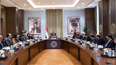 مدبولي يُتابع إجراءات إعادة هيكلة الأداء المالي لعددٍ من الهيئات الاقتصادية