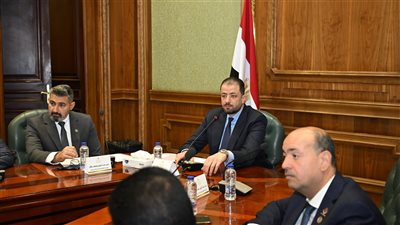 «إعلام الشيوخ» تبحث دعم المحتوى العربي وضوابط إعلانات شركات المكافحة المنزلية