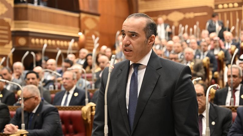 المستشار محمود فوزي