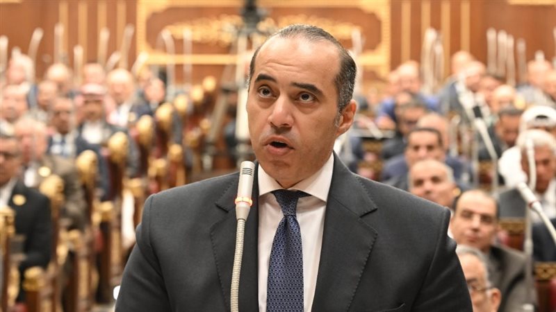 محمود فوزي