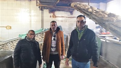 حملة ليلية على المخابز البلدية لضبط مخالفات الوزن والدقيق المدعم بكفر الدوار