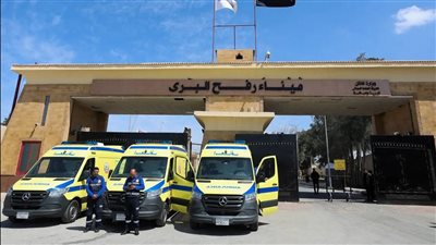 مصر تعزز دعمها لغزة.. استقبال مصابين وعبور 3200 طن مساعدات