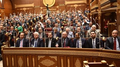 نائب: يجب استشارة نقابة الأطباء في تعديل القانون..وفوزي يوضح الضوابط الدستورية