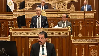 مجلس الشيوخ يوافق مبدئيًا على تعديل قانون المستشفيات الجامعية