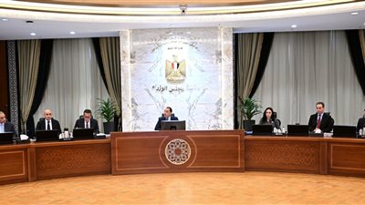 الوزراء: ضرورة الانتهاء من إعداد تشريع قانوني يُسهم في حماية الأطفال والنشء