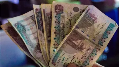 5 فئات يحق لها صرف معاش يوليو 2026 مبكرا.. اعرف المواعيد الجديدة