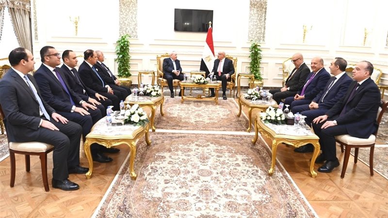 المستشار هشام بدوي