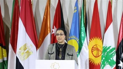 مشروع إعلان القاهرة لمنظمة تنمية المرأة ورئيسة الدورة الثامنة للمؤتمر الوزاري 