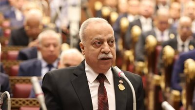 النائب حسني سبالة يتقدم باقتراح إنشاء وحدة جوازات سفر بمدينة زفتى