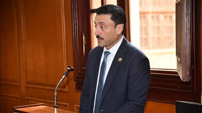 النائب محمد رزق يطالب بخطة متكاملة لتعزيز منظومة السلامة داخل المنشآت الرياضية