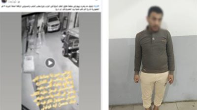 لتحقيق مشاهدات و أرباح..عاطل يدعى تحريض شخص لكلبه على عقر نجله بالمحلة 