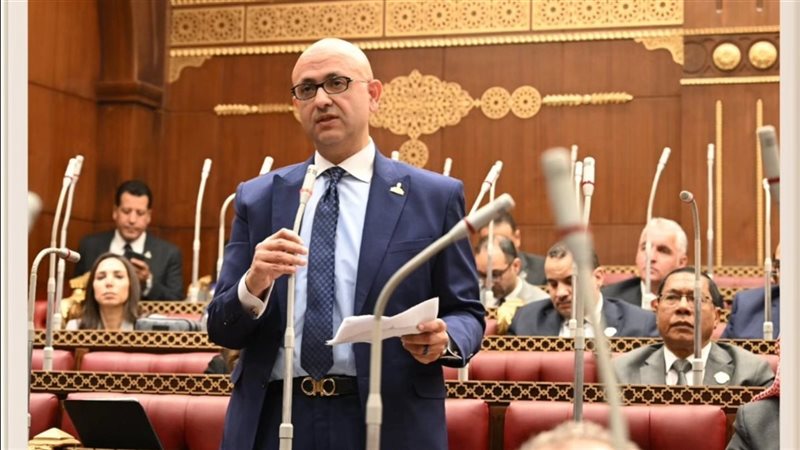 النائب مصطفى الشبراوي