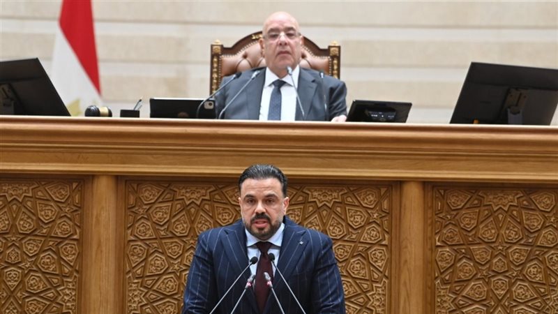 محمد مجاهد 